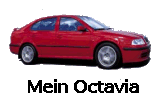 Mein Octavia